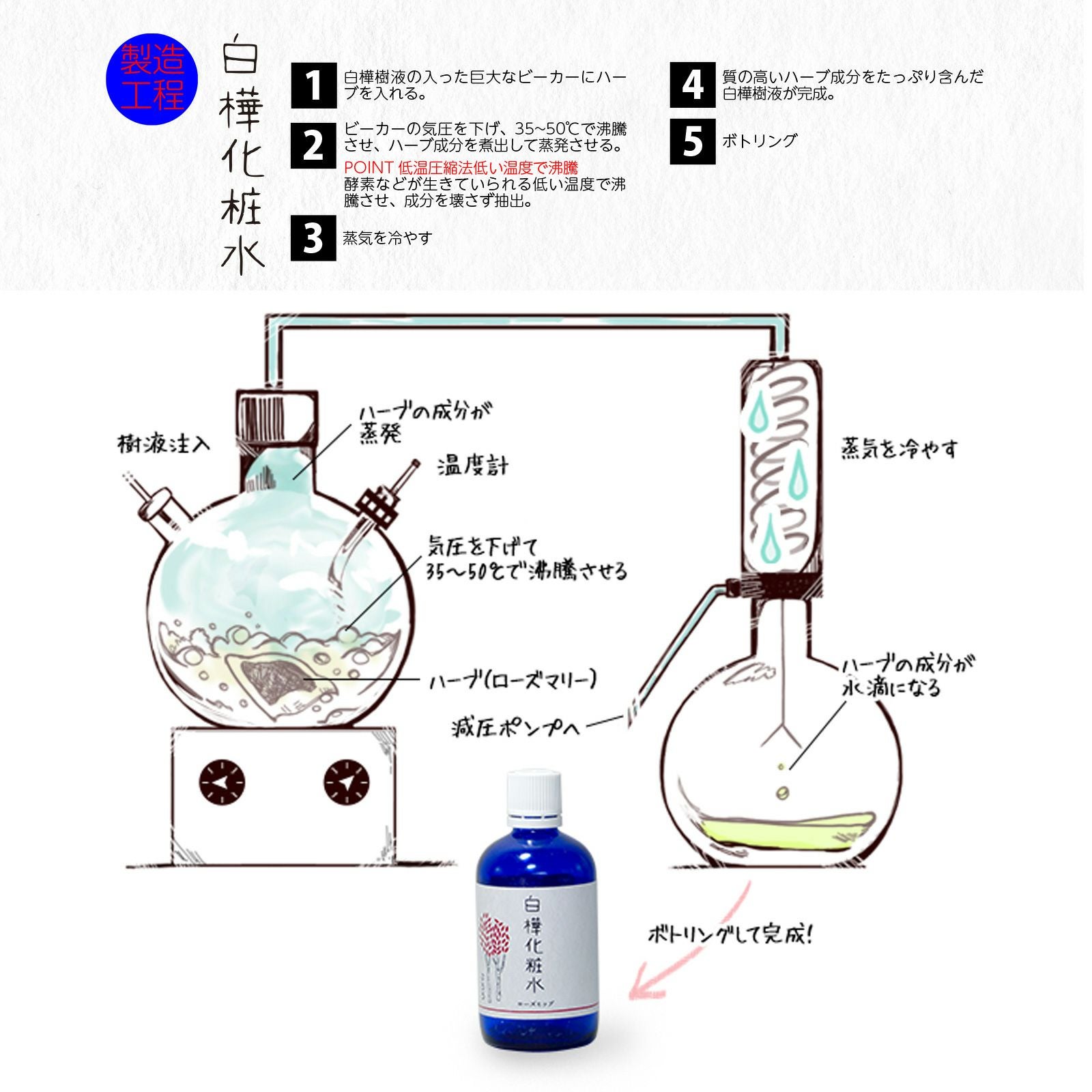 ぷろろ白樺化粧水からすうり☆ | ぷろろ健美堂